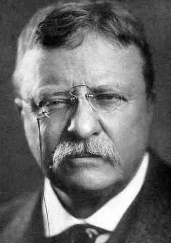 Inspirational Quote Teddy Roosevelt