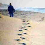 Steps on a beach