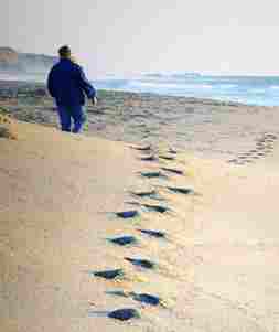 Steps on a beach