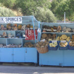 Roadside Stands