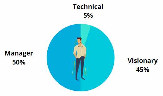 CEO Role Strategic Stage