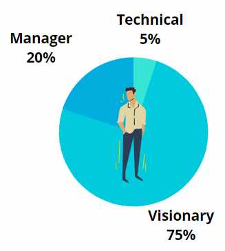 CEO Role Visionary Stage