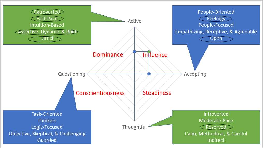 DISC Assessment Sales Example