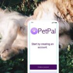 PetPal Minimum Marketable Product