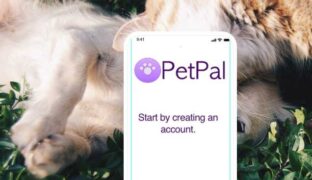 PetPal Minimum Marketable Product