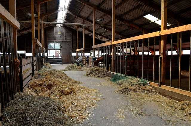 Horse stalls