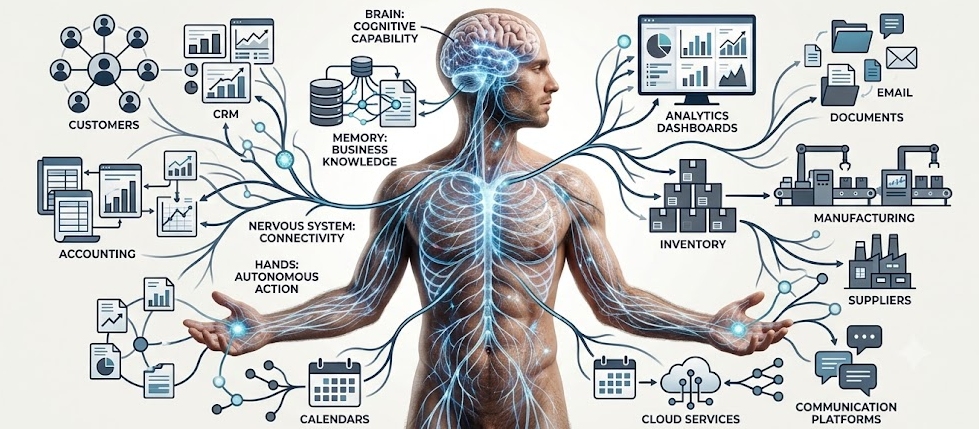The human nervous system mapped to AI